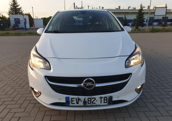 Opel Corsa cena 30900 przebieg: 120000, rok produkcji 2017 z Szamotuły małe 742